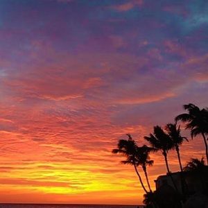 Meet your Posher, Ellie